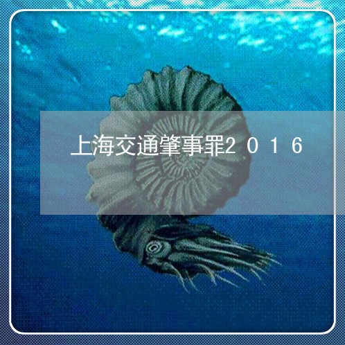 上海交通肇事罪2016/2023042296158