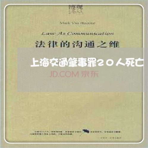 上海交通肇事罪20人死亡/2023031860504