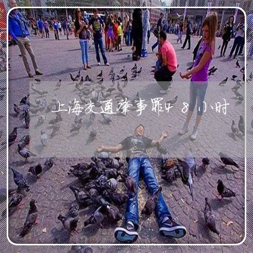 上海交通肇事罪48小时/2023022825027 上海交通肇事罪48小时/2023022825027
