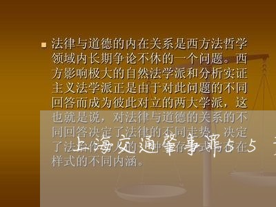 上海交通肇事罪55责任/2023022896171 上海交通肇事罪55责任/2023022896171