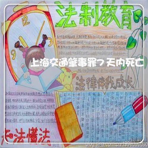 上海交通肇事罪7天内死亡/2023031871603