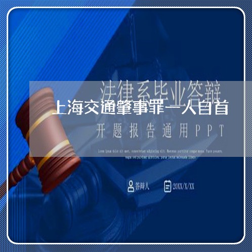 上海交通肇事罪一人自首/2023022814817