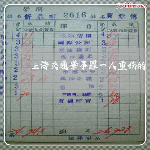 上海交通肇事罪一人重伤的/2023031826158 上海交通肇事罪一人重伤的/2023031826158