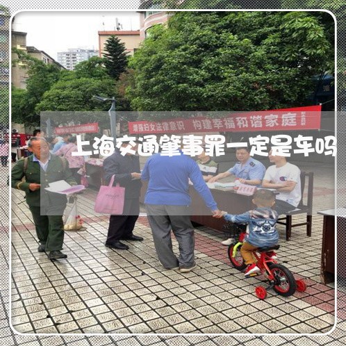 上海交通肇事罪一定是车吗/2023031858151 上海交通肇事罪一定是车吗/2023031858151