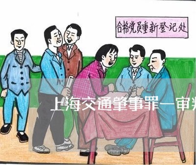 上海交通肇事罪一审判了缓刑/2023033141472
