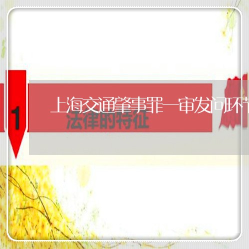 上海交通肇事罪一审发问环节/2023033174906