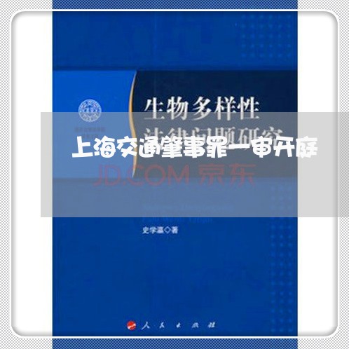 上海交通肇事罪一审开庭/2023022858261