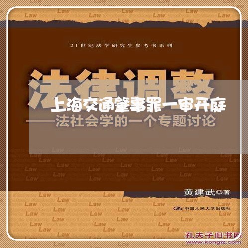 上海交通肇事罪一审开庭/2023022859493