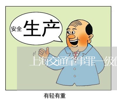 上海交通肇事罪一级伤残/2023022894849