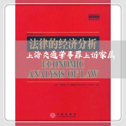 上海交通肇事罪上诉家属/2023042236058