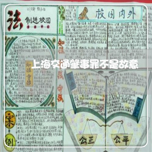 上海交通肇事罪不是故意/2023022893826 上海交通肇事罪不是故意/2023022893826