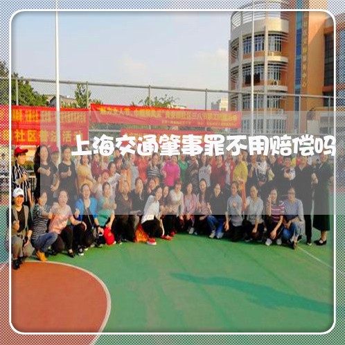 上海交通肇事罪不用赔偿吗/2023031880794 上海交通肇事罪不用赔偿吗/2023031880794