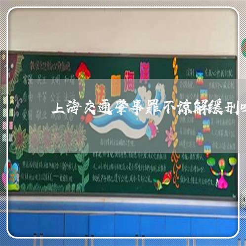上海交通肇事罪不谅解缓刑吗/2023033141793 上海交通肇事罪不谅解缓刑吗/2023033141793