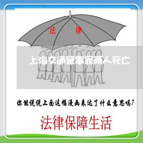 上海交通肇事罪两人死亡/2023042294836