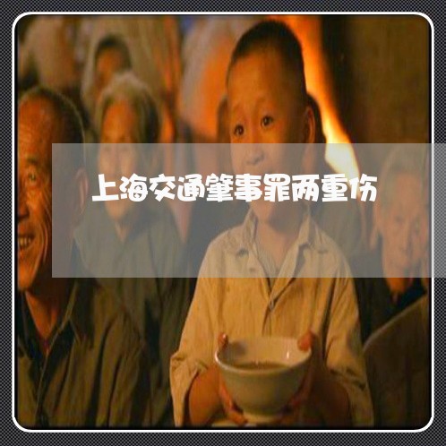 上海交通肇事罪两重伤/2023021261602 上海交通肇事罪两重伤/2023021261602