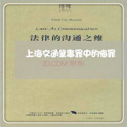 上海交通肇事罪中的悔罪/2023042262672