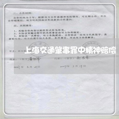 上海交通肇事罪中精神赔偿/2023031840570 上海交通肇事罪中精神赔偿/2023031840570