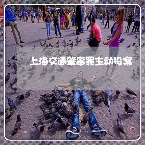 上海交通肇事罪主动投案/2023022895846 上海交通肇事罪主动投案/2023022895846