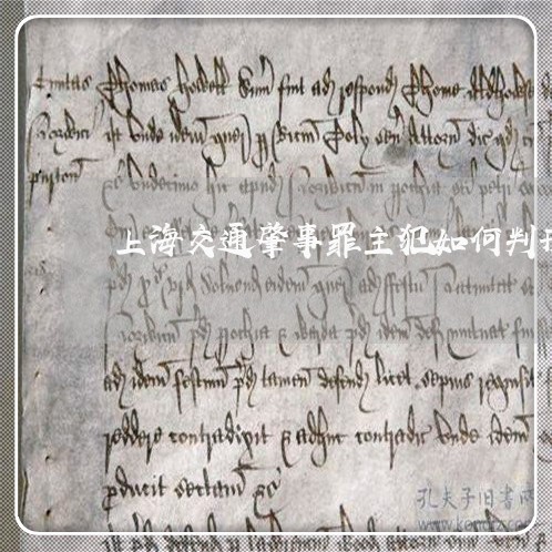 上海交通肇事罪主犯如何判刑/2023033181037