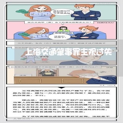 上海交通肇事罪主观过失/2023042284035 上海交通肇事罪主观过失/2023042284035