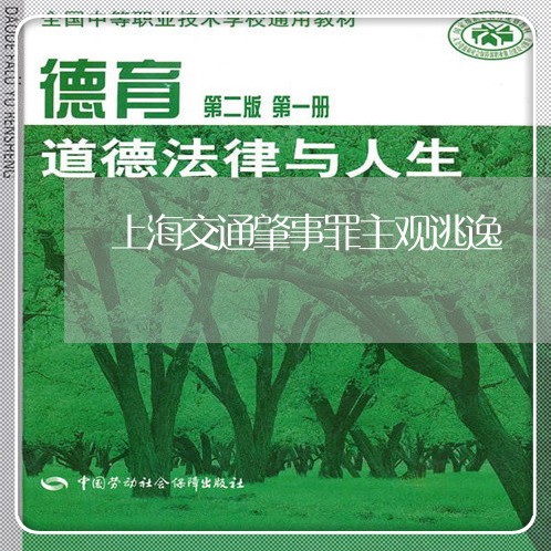 上海交通肇事罪主观逃逸/2023022879505 上海交通肇事罪主观逃逸/2023022879505