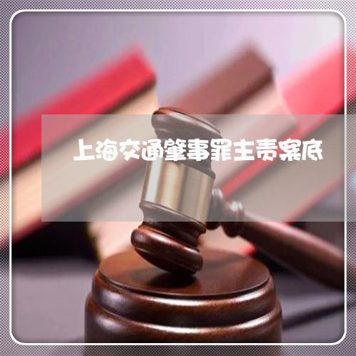 上海交通肇事罪主责案底/2023042243492