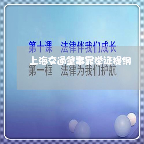 上海交通肇事罪举证提纲/2023042253583