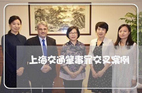 上海交通肇事罪交叉案例/2023022884904