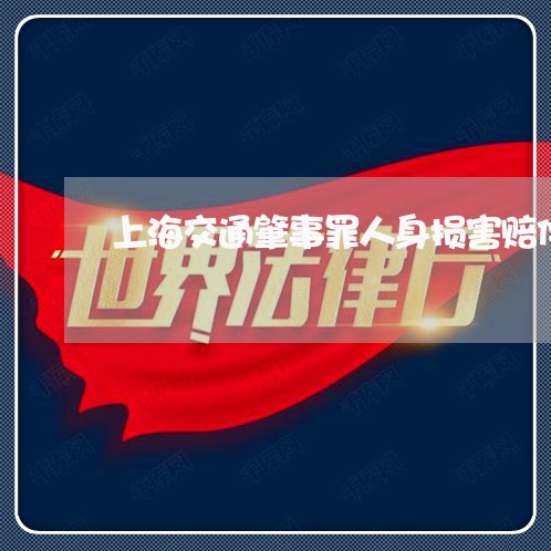 上海交通肇事罪人身损害赔偿/2023033184596 上海交通肇事罪人身损害赔偿/2023033184596