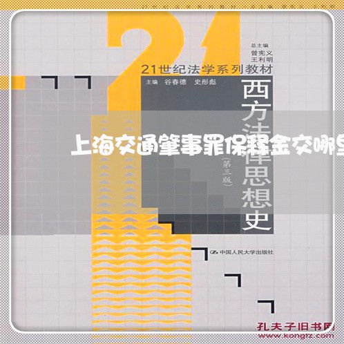 上海交通肇事罪保释金交哪里/2023033194948