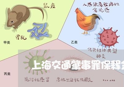 上海交通肇事罪保释金是多少/2023033174949