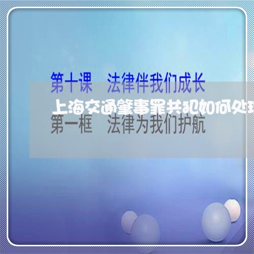 上海交通肇事罪共犯如何处理/2023033185239 上海交通肇事罪共犯如何处理/2023033185239