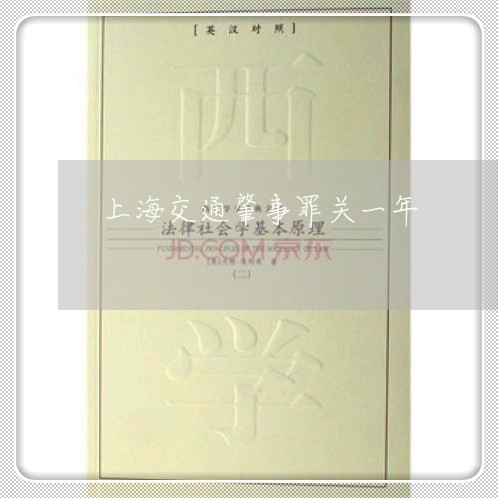上海交通肇事罪关一年/2023021209451 上海交通肇事罪关一年/2023021209451