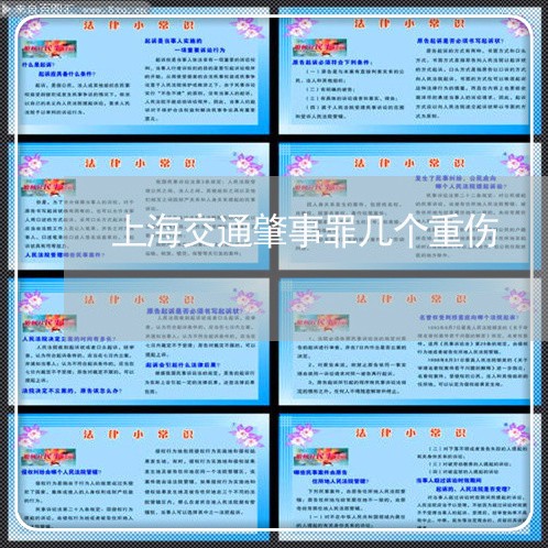 上海交通肇事罪几个重伤/2023022871505