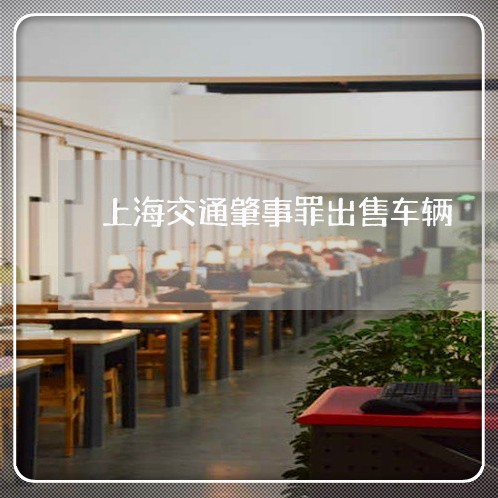 上海交通肇事罪出售车辆/2023022892615 上海交通肇事罪出售车辆/2023022892615