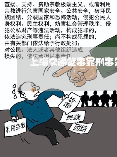 上海交通肇事罪刑事先开庭/2023031806250 上海交通肇事罪刑事先开庭/2023031806250