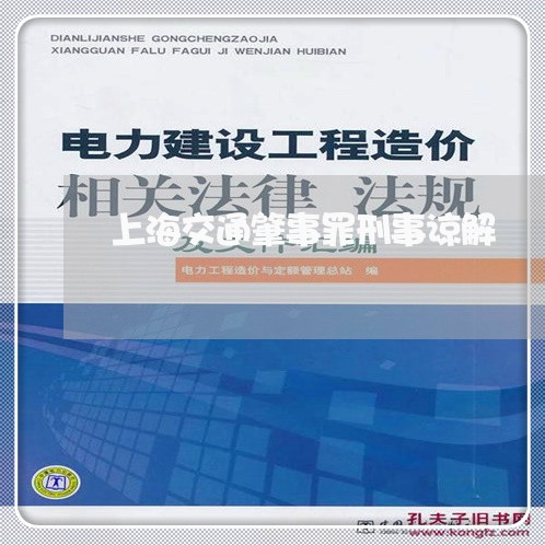 上海交通肇事罪刑事谅解/2023022826058 上海交通肇事罪刑事谅解/2023022826058