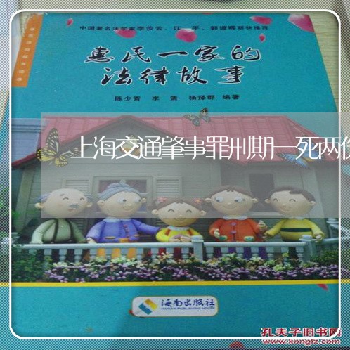 上海交通肇事罪刑期一死两伤/2023033176047
