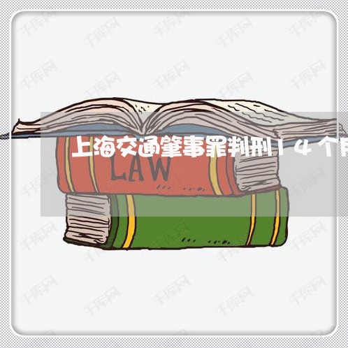 上海交通肇事罪判刑14个月/2023033196158 上海交通肇事罪判刑14个月/2023033196158