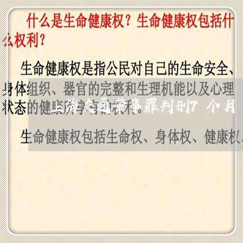 上海交通肇事罪判刑7个月/2023033008370