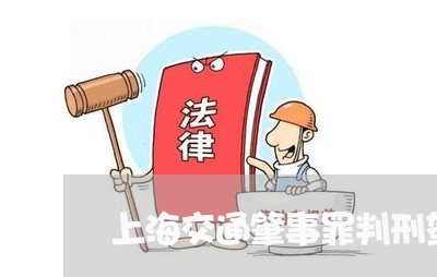 上海交通肇事罪判刑驾驶证/2023031737361 上海交通肇事罪判刑驾驶证/2023031737361