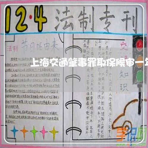 上海交通肇事罪取保候审一年/2023033109370 上海交通肇事罪取保候审一年/2023033109370