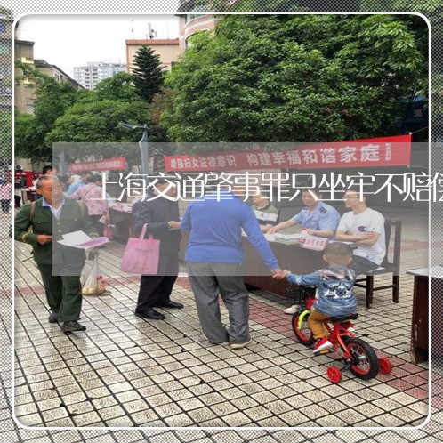 上海交通肇事罪只坐牢不赔偿/2023033137251 上海交通肇事罪只坐牢不赔偿/2023033137251