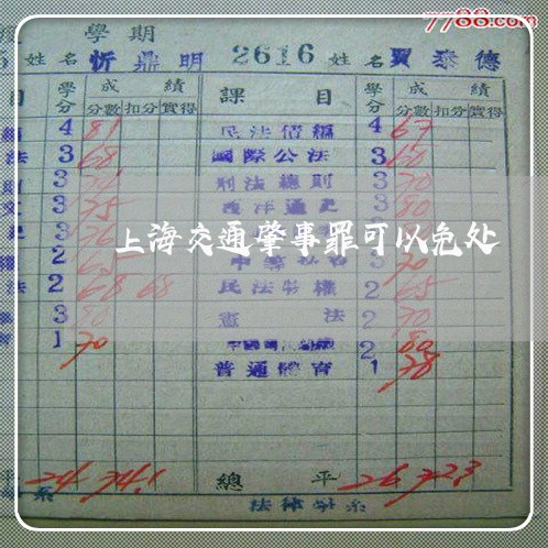 上海交通肇事罪可以免处/2023022774604