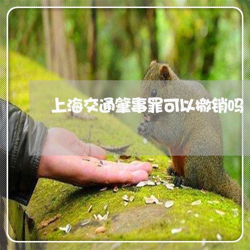 上海交通肇事罪可以撤销吗/2023031815868 上海交通肇事罪可以撤销吗/2023031815868