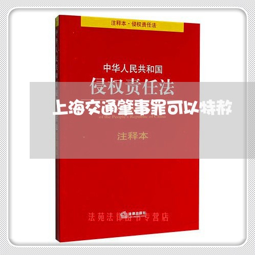 上海交通肇事罪可以特赦/2023022726057 上海交通肇事罪可以特赦/2023022726057