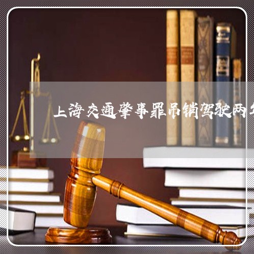 上海交通肇事罪吊销驾驶两年/2023033198936