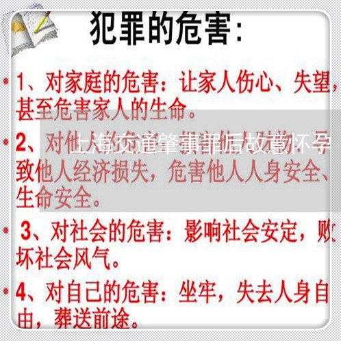 上海交通肇事罪后故意怀孕/2023033104937