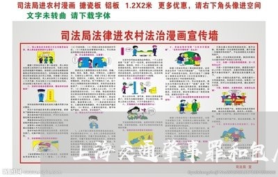 上海交通肇事罪和包庇罪判决/2023033172712