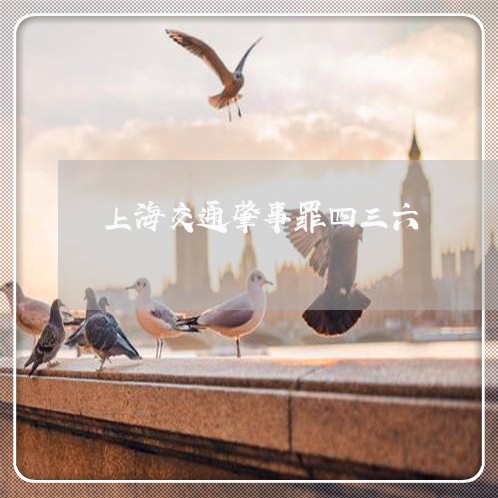 上海交通肇事罪四三六/2023021195845 上海交通肇事罪四三六/2023021195845
